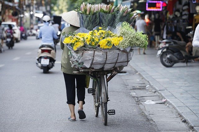 Tết Nguyên Đán 2026: Sắc Xuân Hà Nội Qua Lăng Kính Nhiếp Ảnh